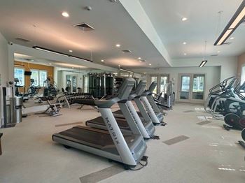 Fitness Area with Commercial Gym Quality Fitness Equipment